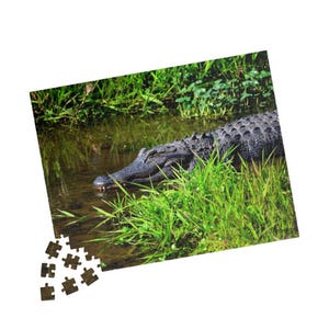 Puzzle Photographie animalière d'alligators - Fabriqué aux États-Unis