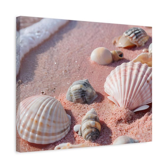 Coastal Shell Canvas Art Print - Nautical Beach House Wall Decor, Ocean Themed Gift