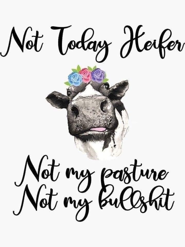 Not Today Heifer Not My Pasture Not My Bullshit-Funny Shirt Not Today Heifer Not My Pasture Not My Bullshit-Funny Shirt