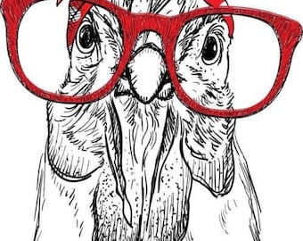 signora Pollo