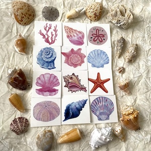 May include: An assortment of seashells and watercolor illustrations of various sea creatures. The image features a variety of natural seashells in shades of brown, tan, and white, alongside square cards with watercolor paintings of shells, coral, and a starfish.
