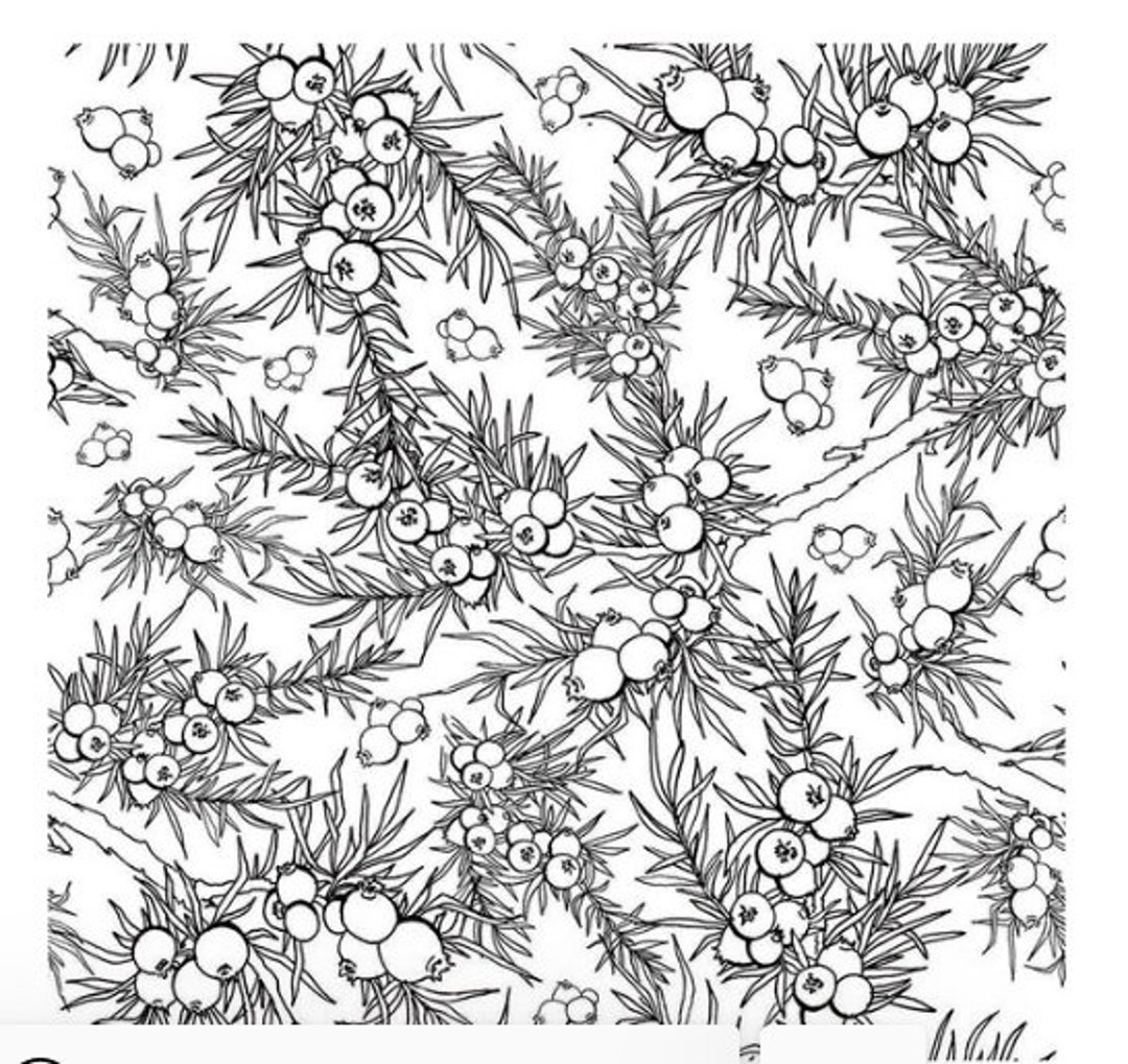 Leaf Berry Clear Stamp Texture for Polymer Clay Scrapbook Etsy