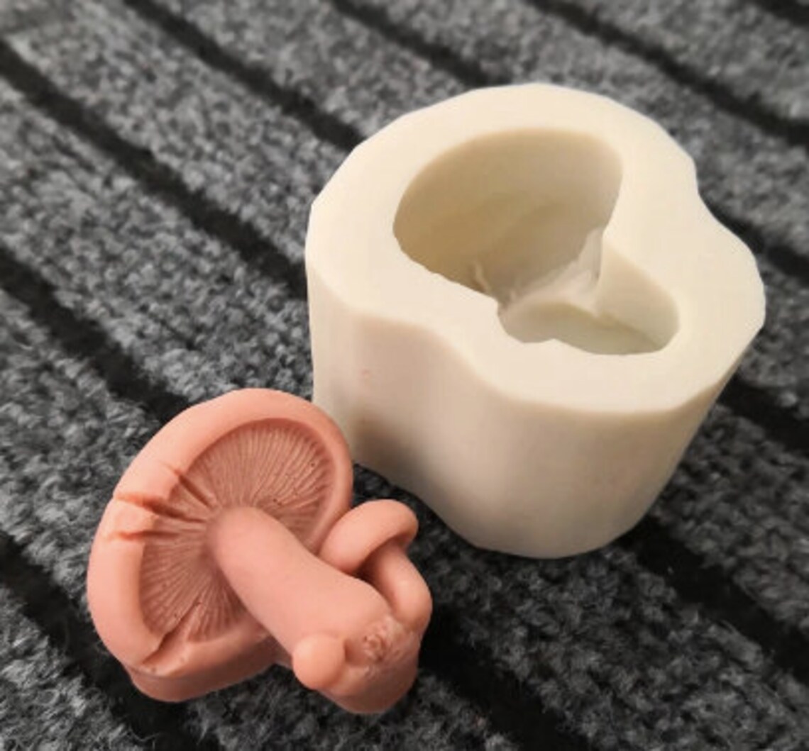 Mushrooms Mold Mushroom Mold Fairy Garden Mold Resin Mold Etsy