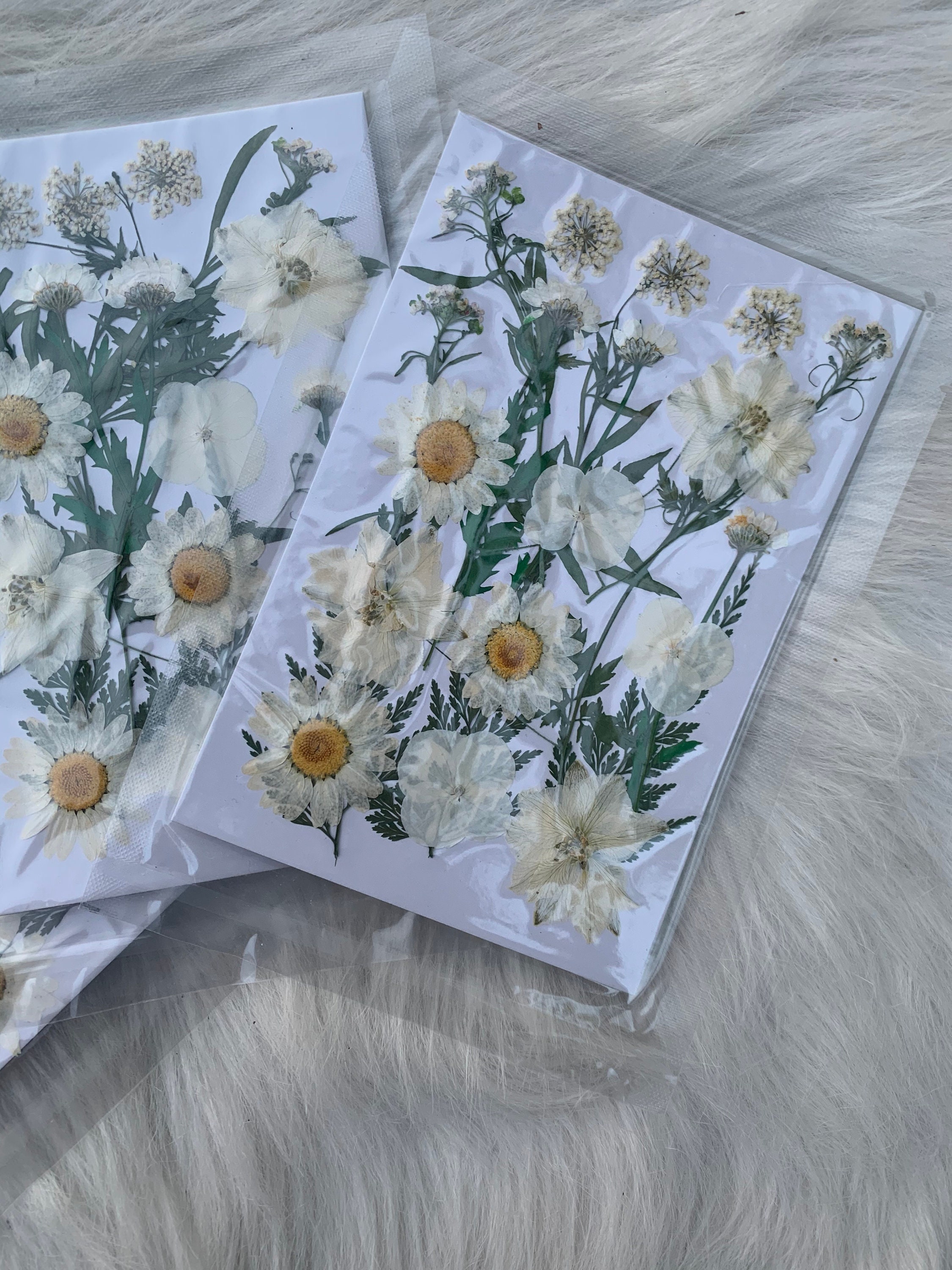 Dried Flowers White Etsy