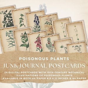VINTAGE GIFTIGE PFLANZEN Junk-Journal-Postkarten, druckbare botanische Ephemera, digitale giftige Pflanzen-Postkarten, 11 x 8,5 und A4-Größe