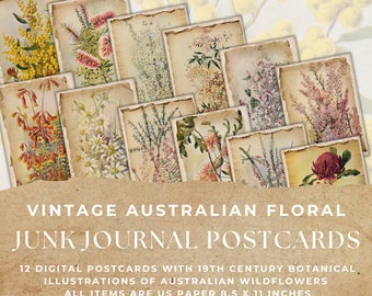 Vintage Australian Floral Postcards, Botanical Ephemera (Digital Download)