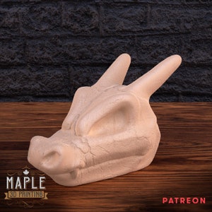 Charizard Skull (3D Printed)