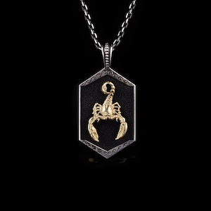 Silver Scorpion Necklace, Oxidized Hexagon Scorpion Pendant, Animal Jewelry Pendant, Zodiac Necklace, Unisex Jewelry, Gift For Him