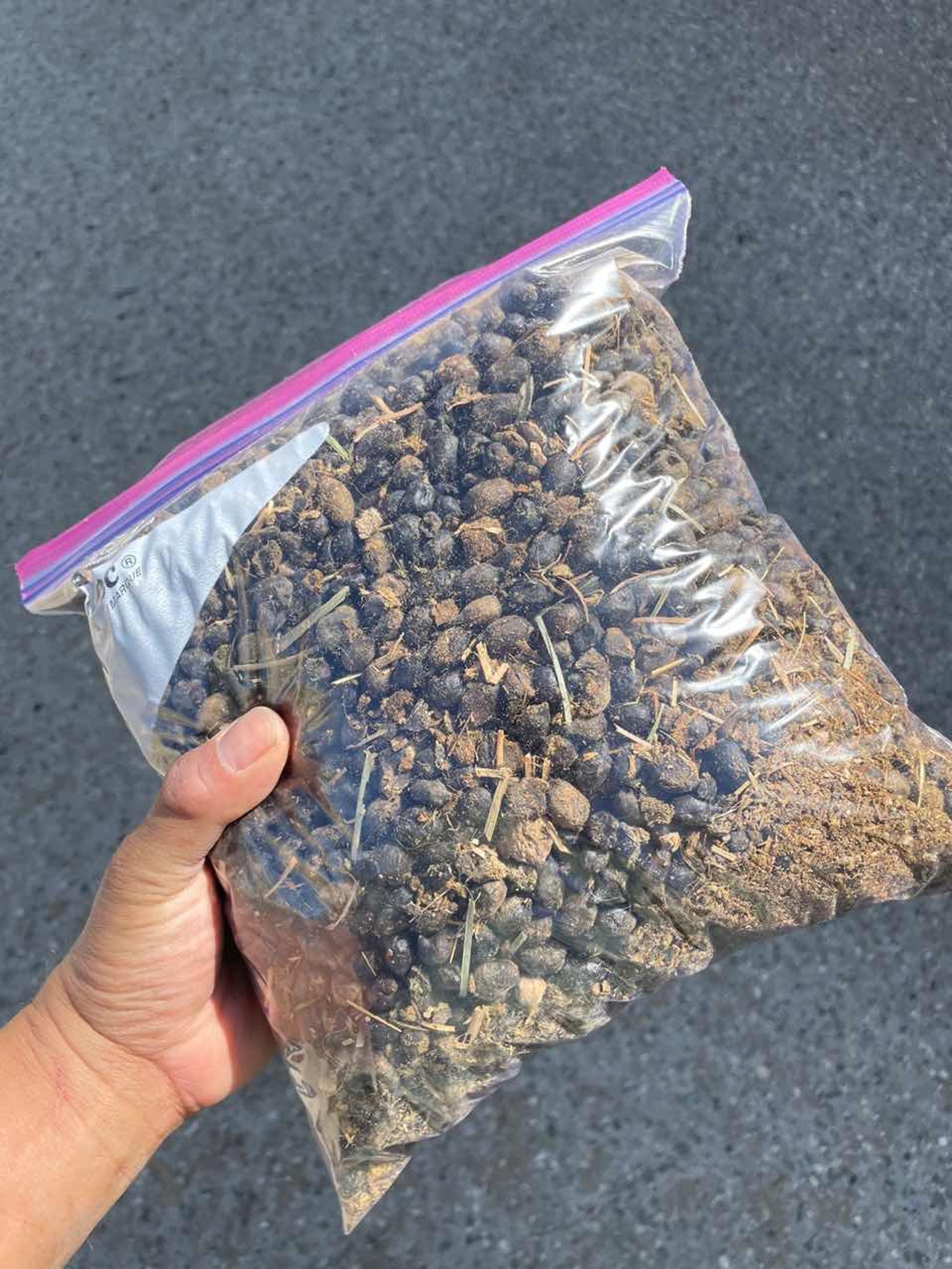 3 Lb Organic Alpaca Bean Poop the Best Fertilizer Etsy