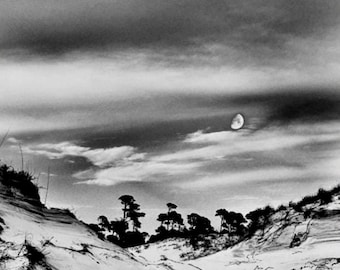 Quadro murale con dune in bianco e nero, fotografia di paesaggio costiero, stampa artistica di spiaggia al chiaro di luna, arredamento minimalista ispirato alla natura.
