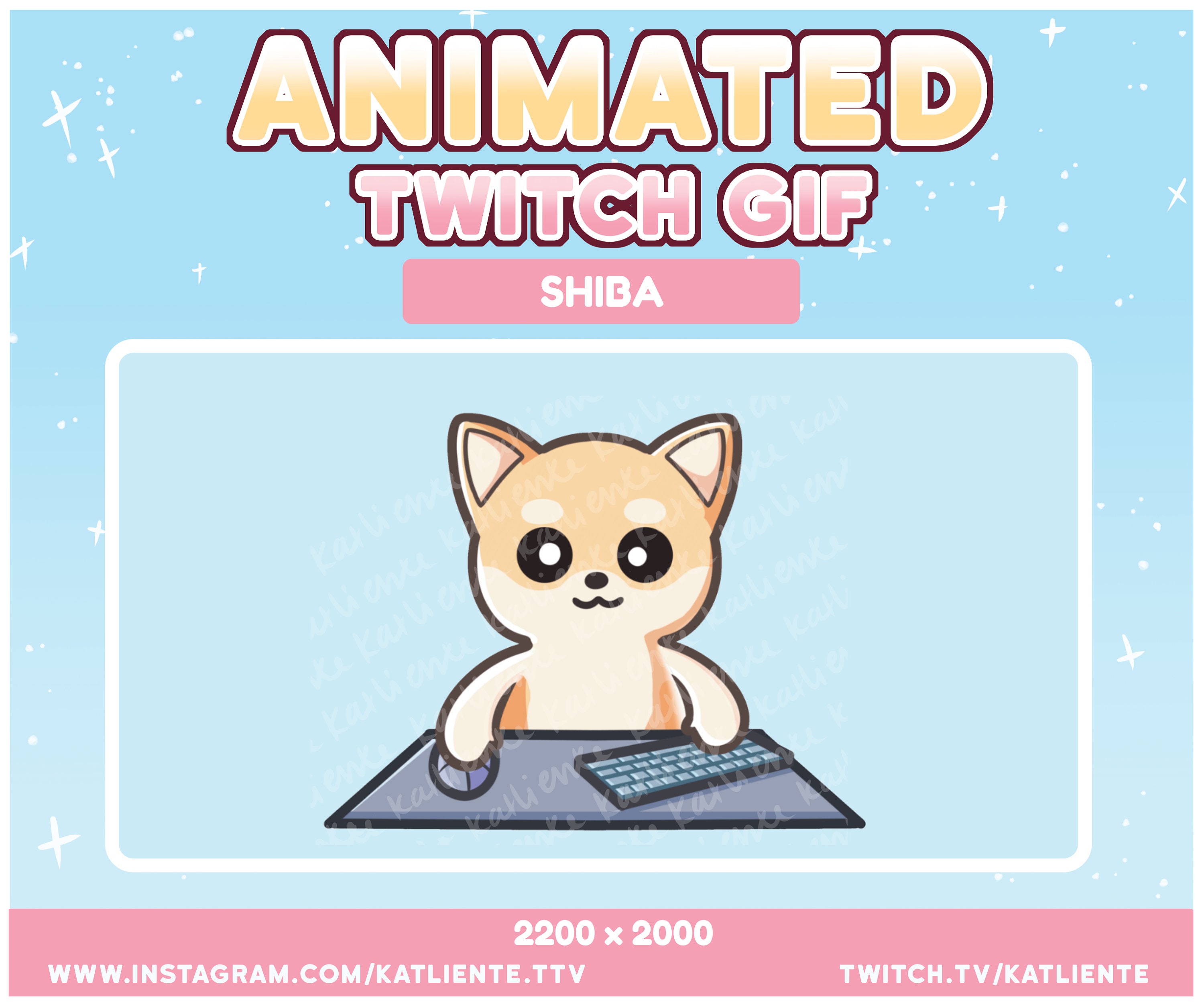 Cute Cat Pfp Discord - Discover & Share GIFs