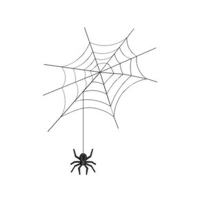 Könnte beinhalten: Eine schwarze Spinne, die an einem weißen Spinnennetz hängt.