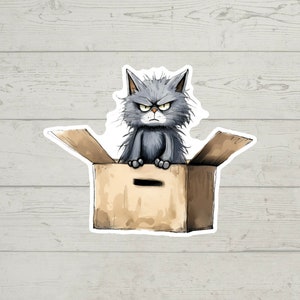 May include: A gray cat with a grumpy expression sits inside a brown cardboard box. The cat has a fluffy tail and is looking directly at the viewer.