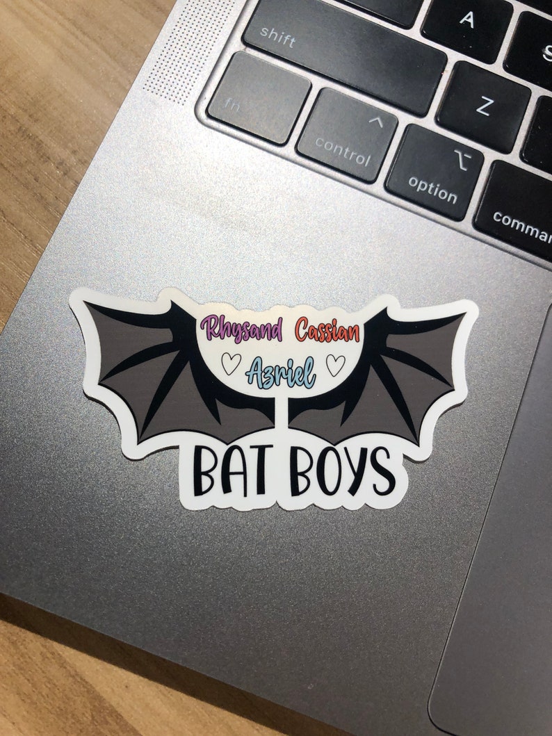 Bat Boy Sticker Bat Boys Waterproof Sticker, Rhysand Cassian Azriel - Etsy