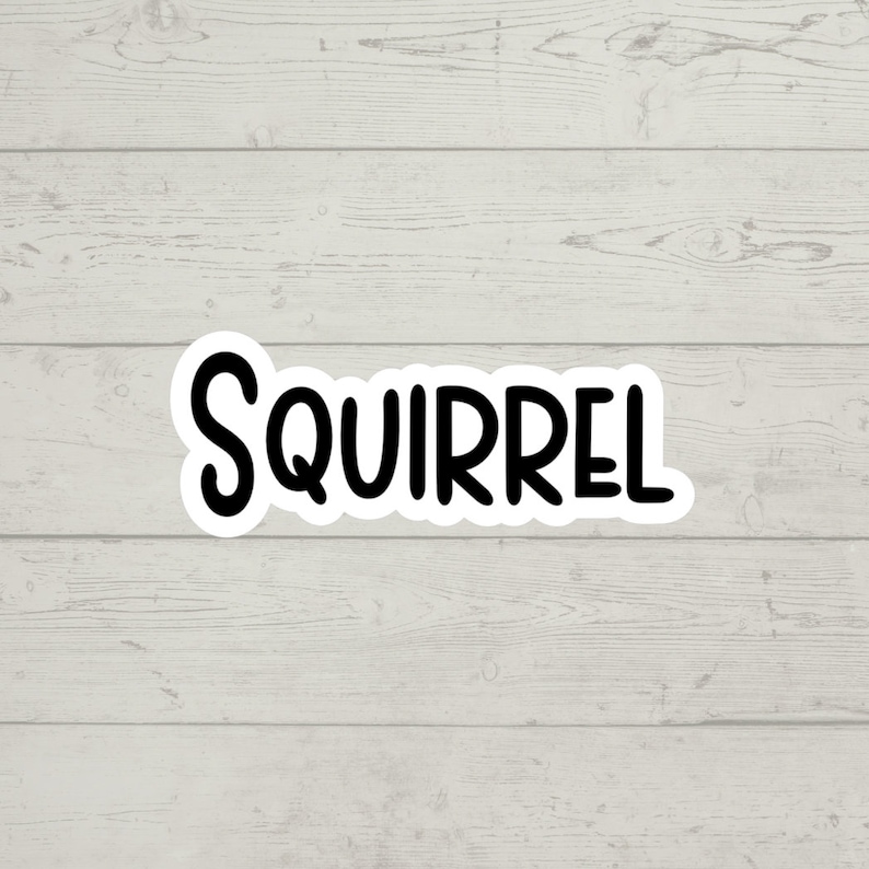 Squirrel Sticker - ADHD Side Tracked Waterproof Glossy Vinyl Sticker ...