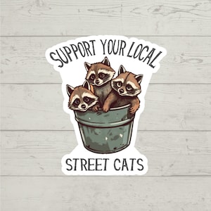 Puede incluir: Una pegatina con fondo blanco y texto negro que dice "Apoya a tus gatos callejeros locales". Tres mapaches de dibujos animados están en un cubo verde.