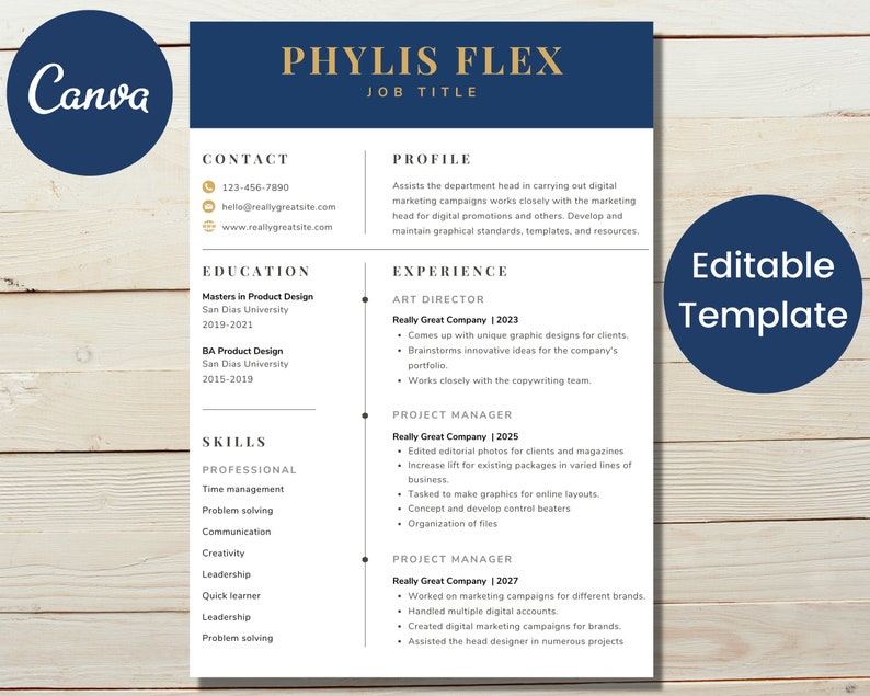 Modern Executive Resume Template 2022 CEO Resume Template for Canva ...