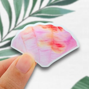 May include: A pink and orange watercolour seashell sticker with a white border.