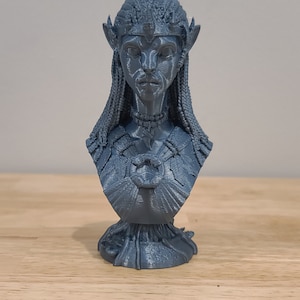 Neytiri as a Tsahik from Avatar 3D Printed Bust Fan Art