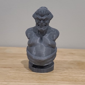 E Honda from Street Fighter 3D Printed Bust Fan Art