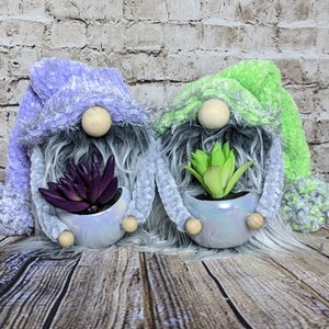 Succulant Plant Gnome | Mothers Day Gnome Gift | Spring Gnome | Plant Lover Gnome | Fuzzy Plush Springtime Gnome | Gardening Gnome