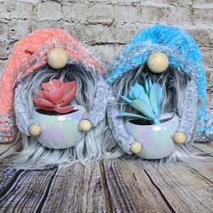Succulant Plant Gnome | Mothers Day Gnome Gift | Spring Gnome | Plant Lover Gnome | Fuzzy Plush Springtime Gnome | Gardening Gnome