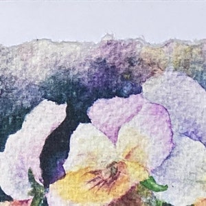 Handmade Card, Pansy Hand-painted Watercolor Print image 5