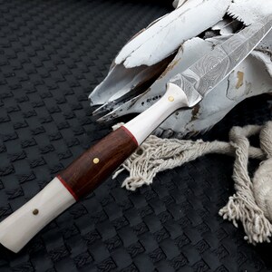 May include: A handcrafted dagger with a patterned steel blade, a white handle, and a dark wood grip. The handle is adorned with brass rivets and a red accent. The dagger rests near a weathered animal skull and rope on a textured black surface.