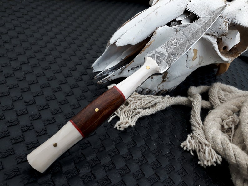 May include: A handcrafted dagger with a patterned steel blade, a white handle, and a dark wood grip. The handle is adorned with brass rivets and a red accent. The dagger rests near a weathered animal skull and rope on a textured black surface.