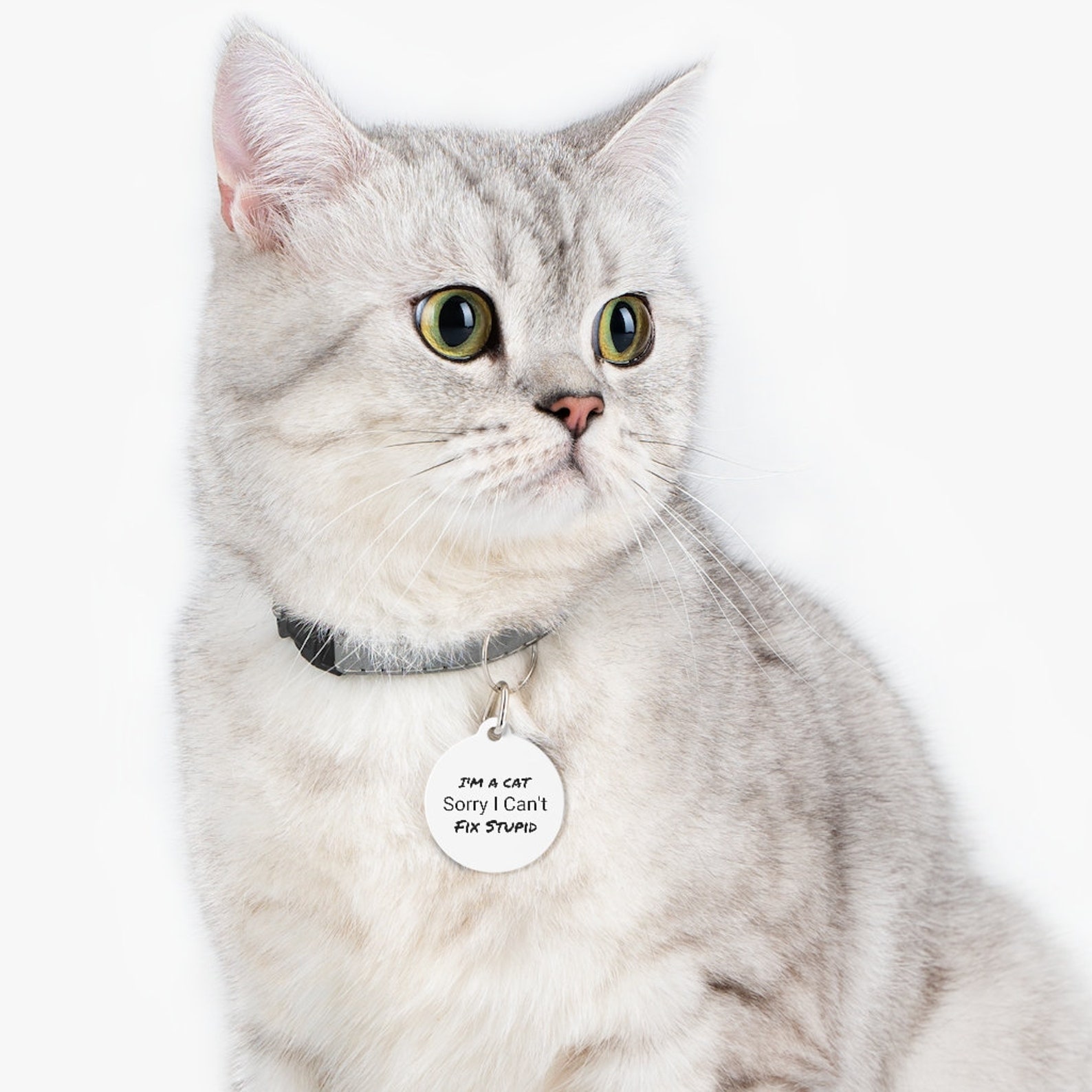 Pet Tag/Cat Tag/Funny Cat ID Tag/Etiqueta de gato Etsy