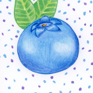 Blueberry Print, Fruit Print, Blueberry Art
