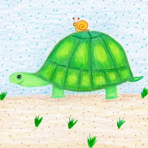 Turtle Print