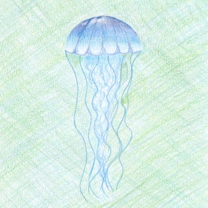 Jellyfish Print, Ocean Print, Jellyfish Drawing, Sea Creature Art