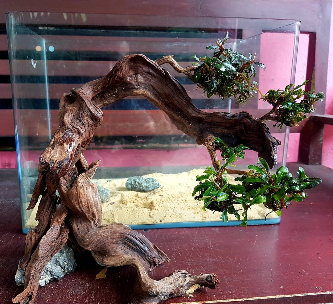 Aquarium Driftwood Tree Aquascape Driftwood Driftwood Etsy