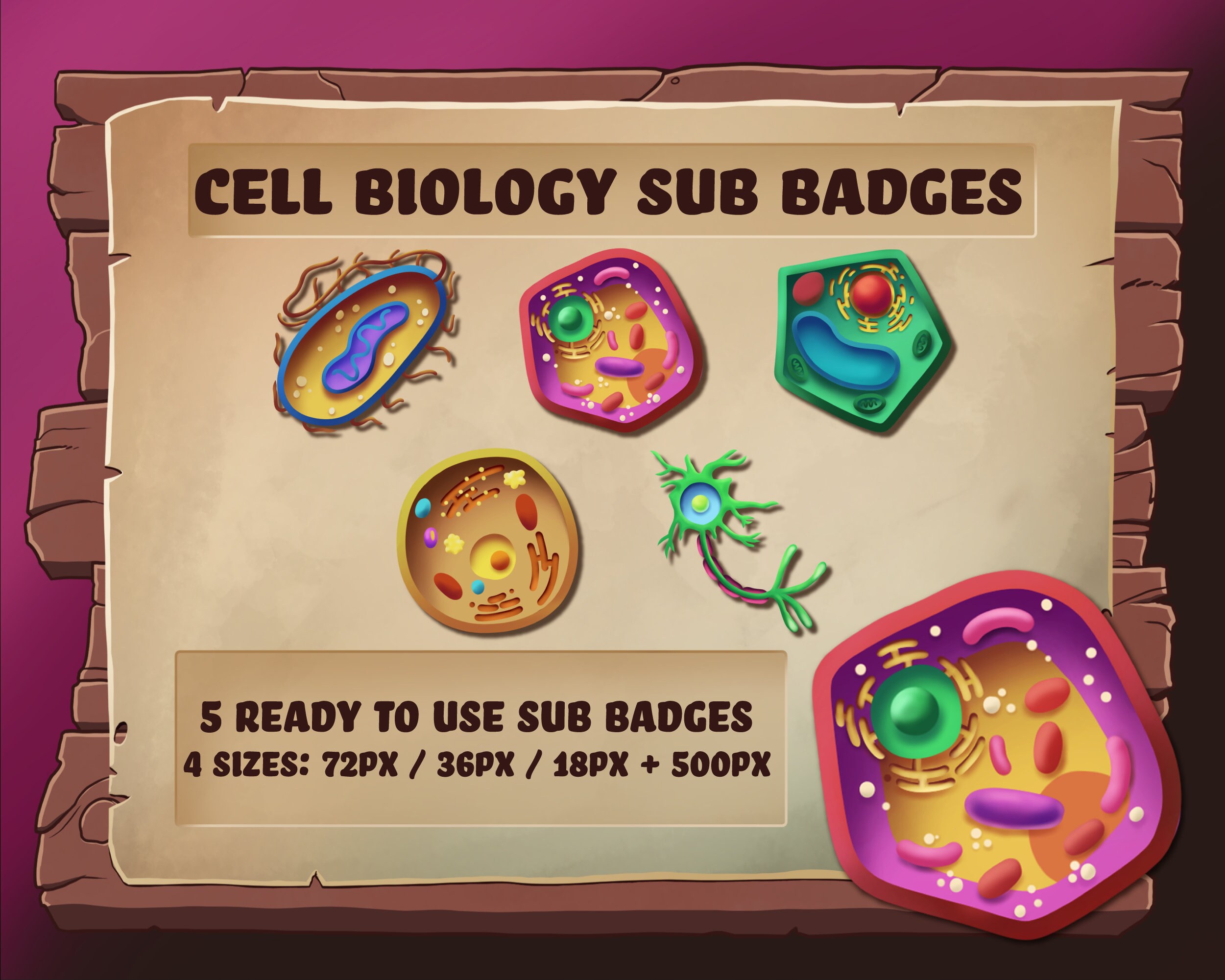 Animal Cell 3d Unlabeled