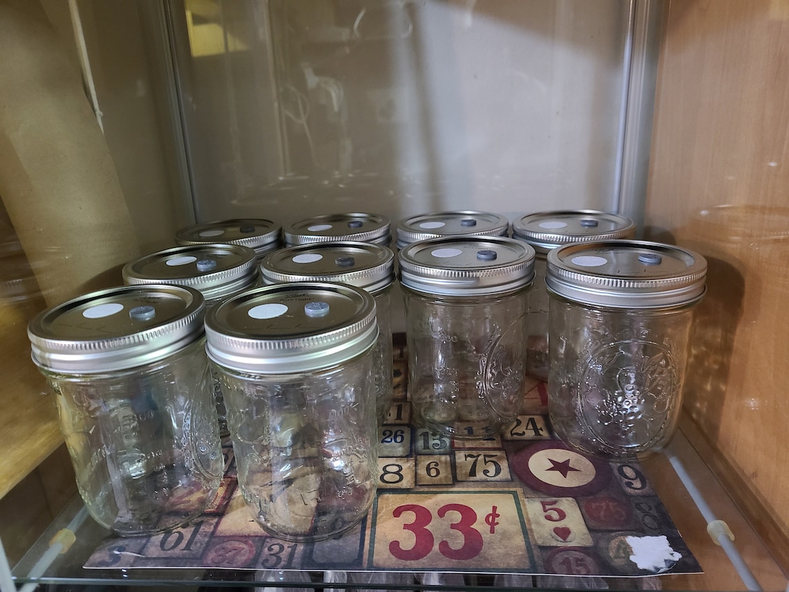 Mason Jars 6 count for Grain Spawn Cultivation free shipping Etsy