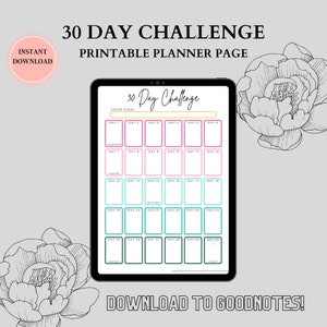 30 Day Challenge, 30 Day Challenge Tracker, 30 Day Challenge Printable, Habit Tracker, 30 Day Goal Tracker, 30 Day Tracker image 3