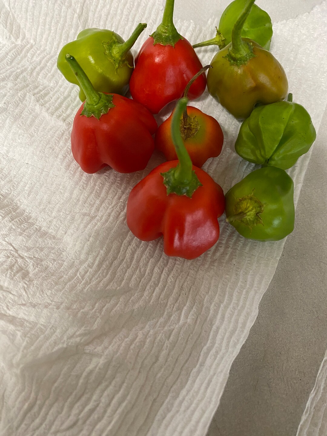 Mad Hatter Pepper Seeds Etsy