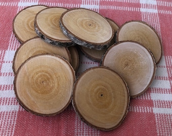 10 rodajas de madera de abedul, decoración de bosque natural, soporte de madera, rebanadas para bricolaje y artesanía, rodajas de madera decorativas de troncos de abedul, anillos de madera de abedul