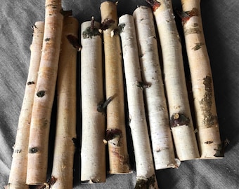 White 10 birch sticks, dried natural birch branches, birch log bundle, wood sticks for crafts decor and DIY, birch for handmade, tree sticks