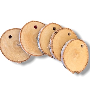 Birch log wood slices with hole, rustic birch wood slisces for wedding, slices for christmas decoration, slices for DIY, crafts & more, 2.5"