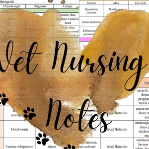PARASITE BUNDLE| Arthropods, Flukes, Trematodes, Nematodes, Protozoa| Veterinary Nursing/Technology Cheat Sheet Notes