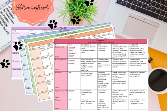 PHARMACOLOGY BUNDLE| Analgesics, Antimicrobials, Antiparasitics, Cardiac, Corticosteroids, GI, Nsaids| Veterinary Pharmacology Basics