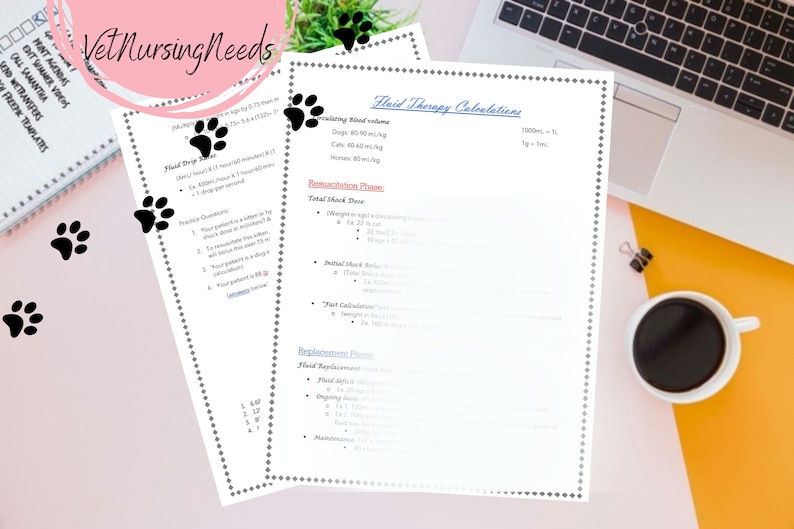 FLUID THERAPY CALCULATIONS Shock Doses, Boluses, Fluid Deficit