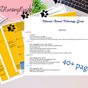 CLINICAL PATHOLOGY GUIDE| Ultimate Veterinary CLinical Guide| Vet tech notes, 40+ pages