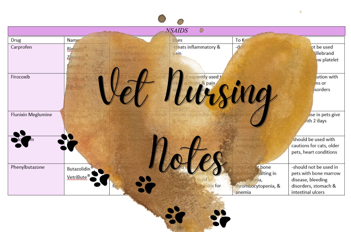 NSAIDS Veterinary Nursing/Technology Pharmacology Cheat Sheet Etsy