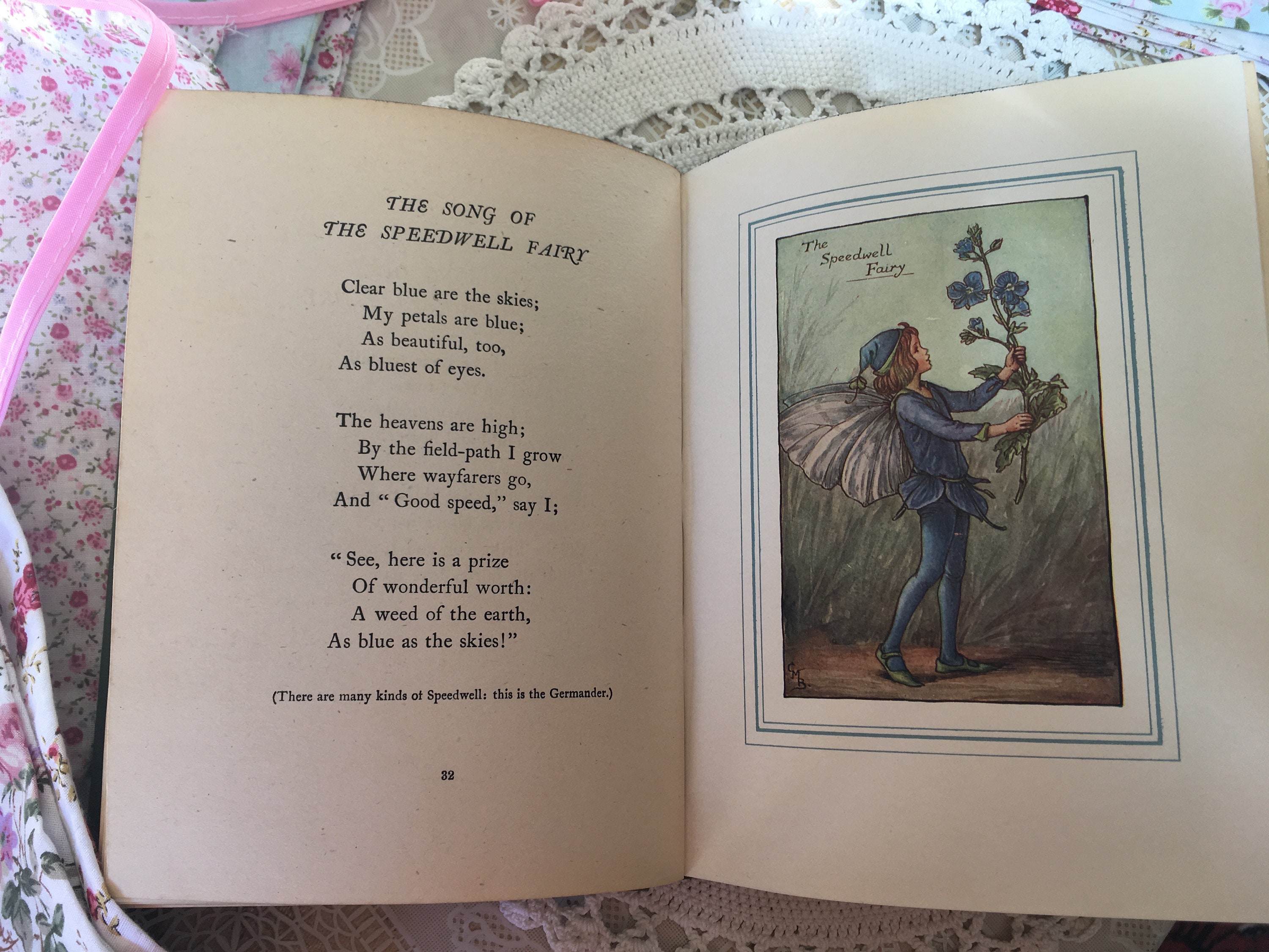 The Book of the Flower Fairies First Edition Cicely Mary Etsy