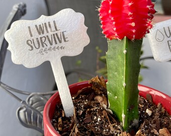 Amusing High-quality, Heat-resistant Plant Markers for Indoor/Outdoor Gardens!