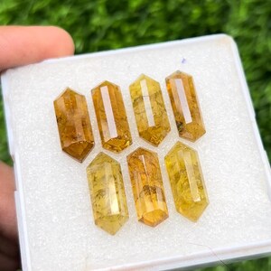 Topkwaliteit natuurlijke Grossler-granaat Eenzijdig geslepen zeshoekige vorm Afmeting 20 x 8 MM 7-delige edelsteen.