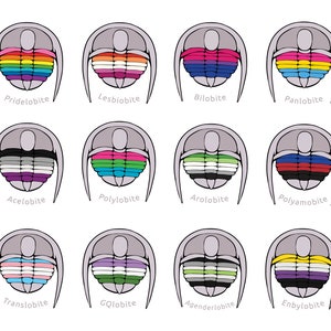 Queerlobites - LGBTQ+ Queer Pride-vlag trilobietstickers Pride in STEM, 2 stuks